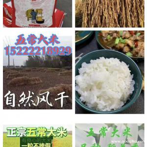 2024年五常稻花香2號新米上市